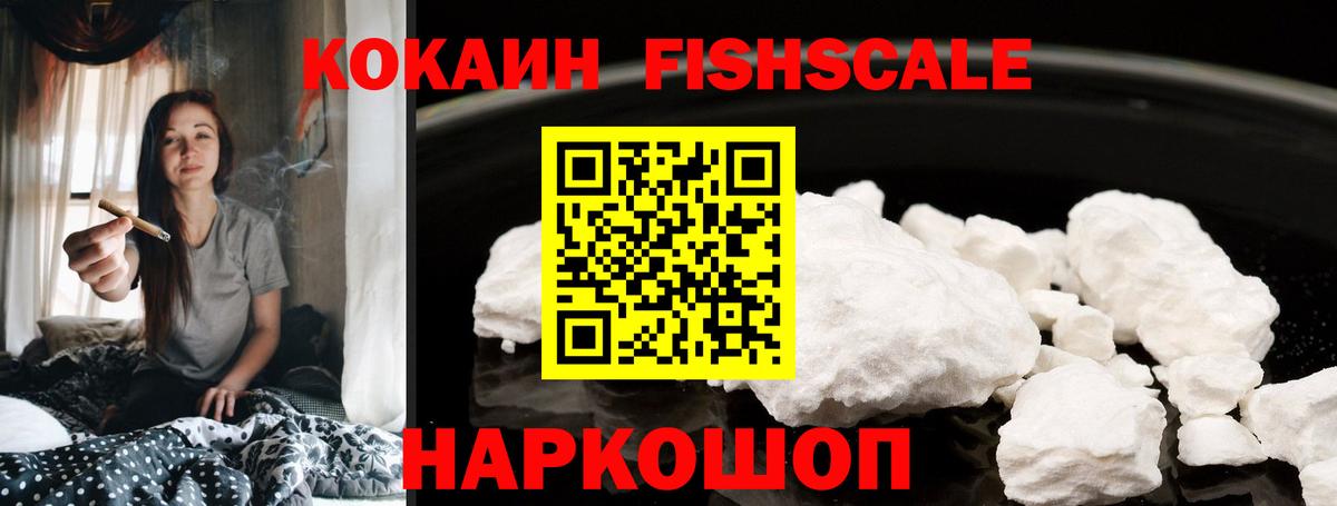 КОКАИН FishScale  Вход с VPN  Северобайкальск  Cocaine FishScale 