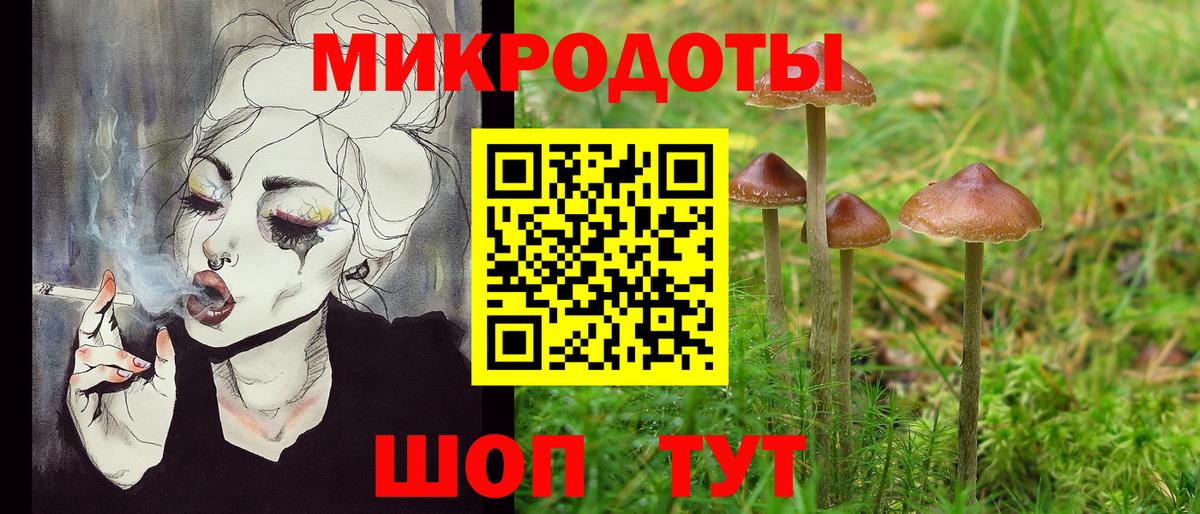 Псилоцибиновые грибы Psilocybe  Вход с VPN  Северобайкальск 